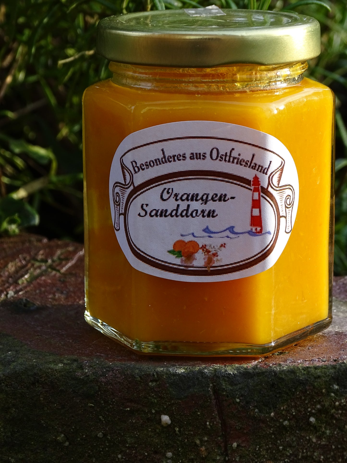 Orange - Sanddorn Aufstrich